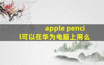 apple pencil可以在华为电脑上用么